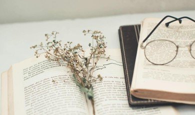 Die Lustigsten und Unerwartetsten Übersetzungsfehler Aller Zeiten